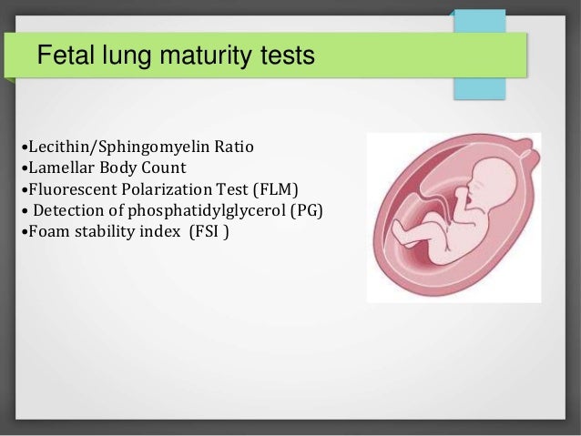 Lung maturity fetal Phosphatidylglycerol